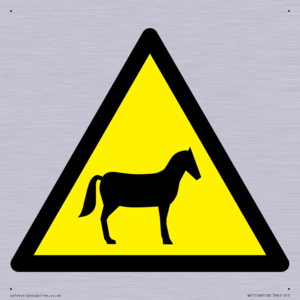 W506 Warning: Horses